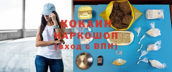 сатива Белокуриха