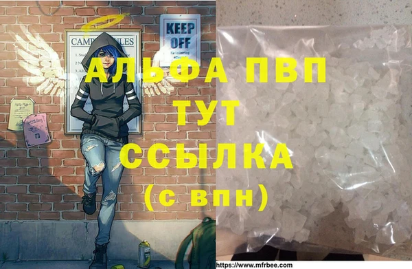 сатива Белокуриха