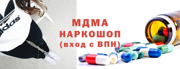 spice Богородицк