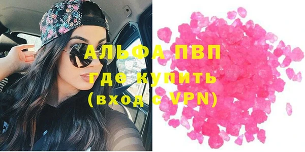 сатива Белокуриха