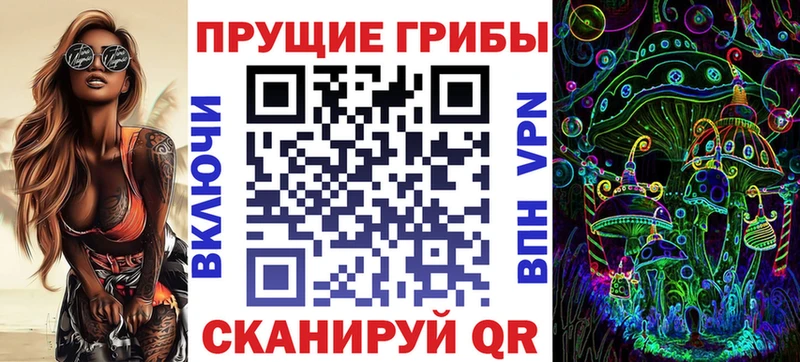 ОМГ ОМГ ТОР  Шагонар  Галлюциногенные грибы Cubensis 